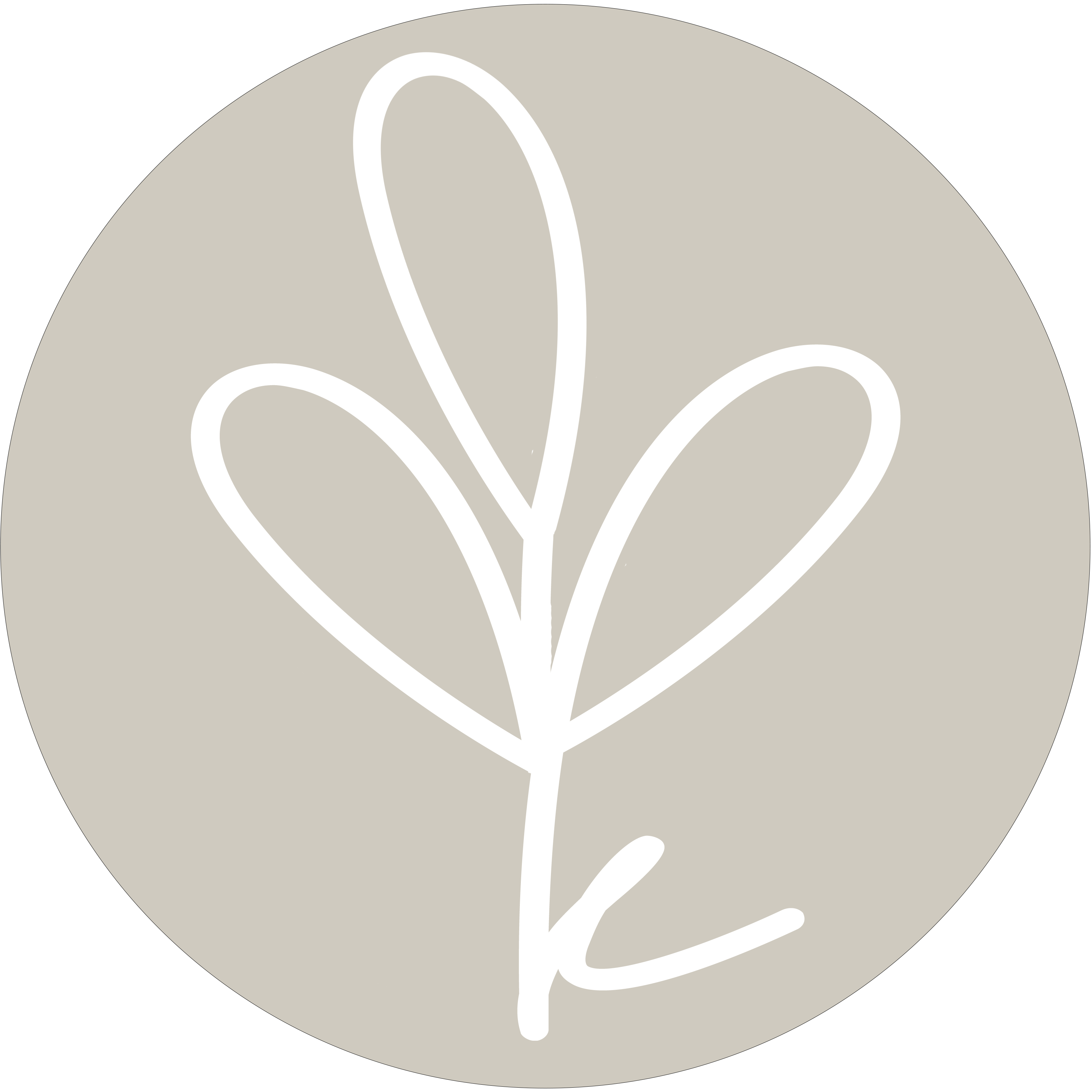 Thai Basil Chicken & Eggplant + Rice Kaylie's Kitchen